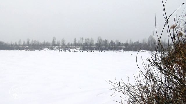 Зимний Пейзаж, Идет Снег и Нежная Музыка для Релаксации и Сна