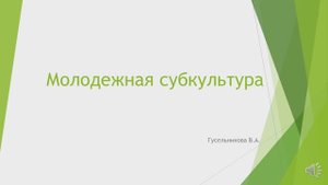 Молодежная субкультура