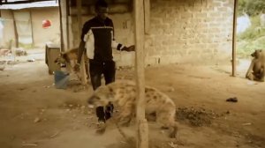 Люди Гиены...