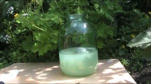 квас из сыворотки