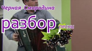 Черная Смородина разбор песни на гармони