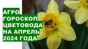 Агрогороскоп цветовода на апрель 2024 года Florist's agrohoroscope for April 2024