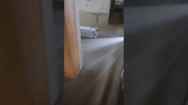 Ремонт дачи в Ягодном (Тольятти). Боремся с плесенью и гнилью после затопления. смотреть онлайн