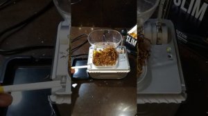 Инжекторная, электрическая машинка для набивки сигаретных гильз диаметром 6, 5 мм