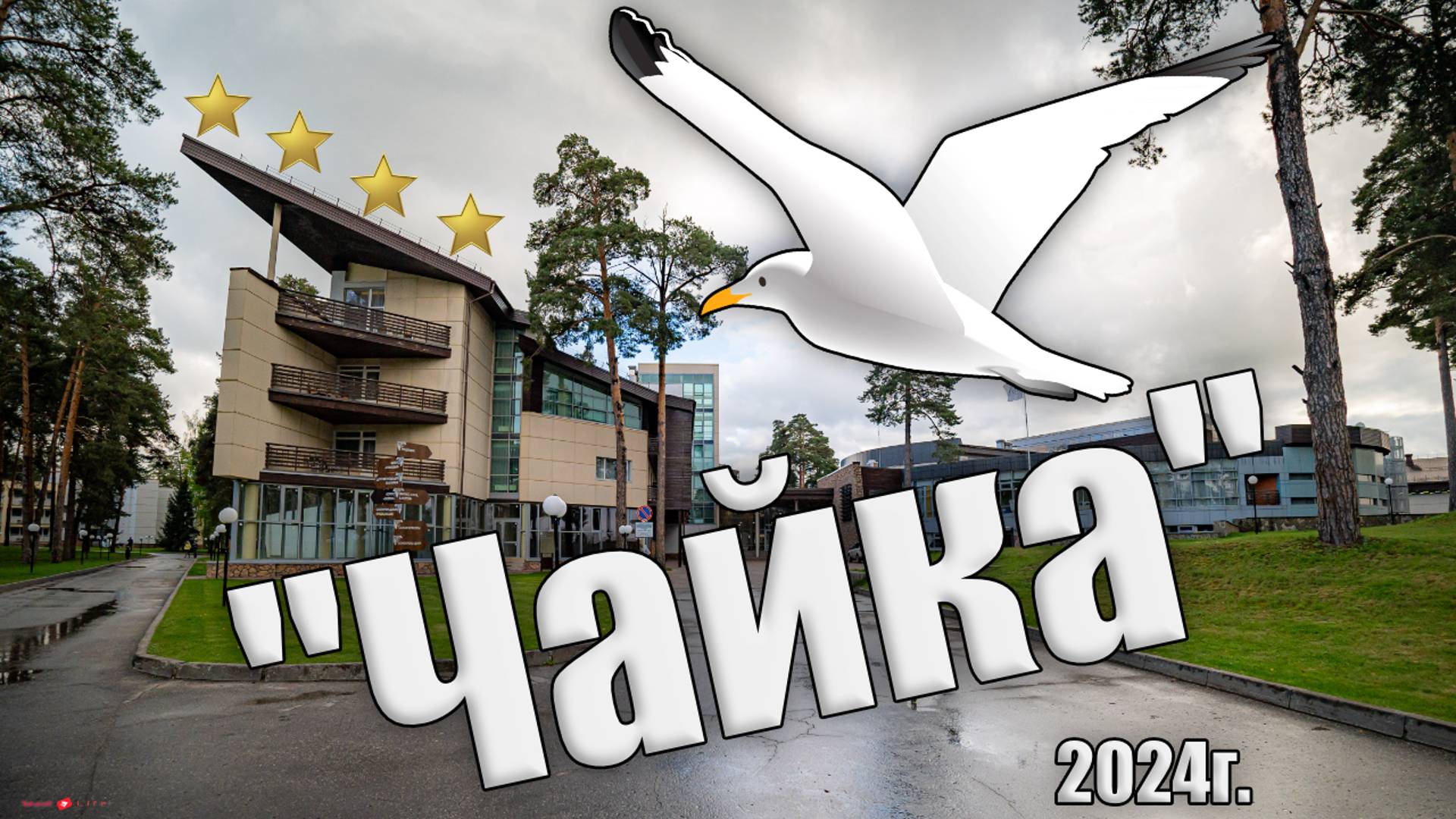 Загородный отель Чайка