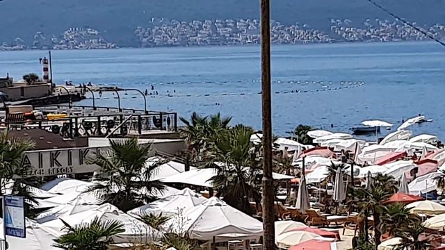 Пляжи Donja Lastva в Тивате 2023 - Waikiki Beach Resort, Camelia, Donja Lastva смотреть онлайн