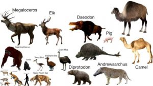 Prehistoric Animals Size Comparison