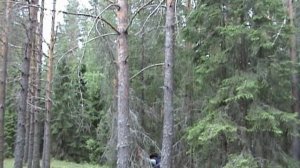 Сплав по Гауе, Лиго 2009.