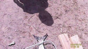 Ловля Толстолобика Егорьевский рыбхоз - запруда реки "Тетеревка"