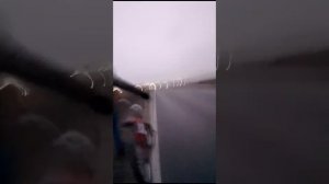 едим в пелагиаду