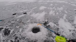 СУДАК НЕ ДАЁТ ОПУСТИТЬ БЛЕСНУ | ЛОВЛЯ СУДАКА ЗИМОЙ НА БЛЕСНУ С ПОДСАДКОЙ ТЮЛЬКИ | ЗИМНЯЯ РЫБАЛКА |
