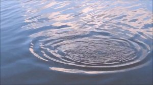 тесто на карася своими руками .Воздушное тесто для рыбалки, кук, пуфик. вся рыба клюет на это