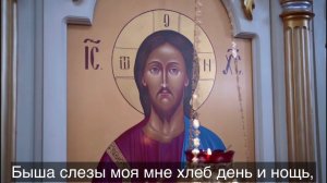 41 ПСАЛОМ | ИМЖЕ ОБРАЗОМ ЖЕЛАЕТ ЕЛЕНЬ | Молодым, когда страдают от несчастной любви.