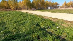 КОТТЕДЖНЫЕ ПОСЁЛКИ ЛЕНИНГРАДСКОЙ ОБЛАСТИ // КУПИТЬ УЧАСТОК В ЛЕНИНГРАДСКОЙ ОБЛАСТИ