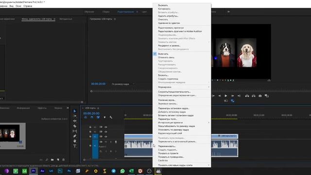 Как из моно сделать стерео Adobe Premiere Pro смотреть онлайн