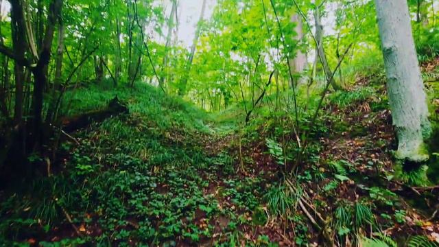 Cross country по оврагу Очень мрачно