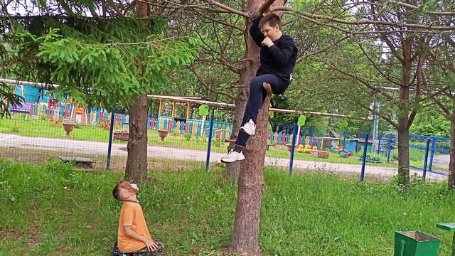 Видео по басню Крылова "Ворона и лисица" смотреть онлайн