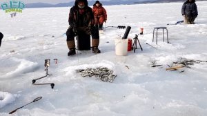 Рыбалка на корюшку в Приморье. Честный обзор. Бухта Суходол. [27.12.2020г.]