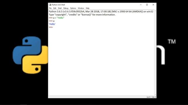 Python Day 2-Python Syntax,Basic Coding Fundamentals