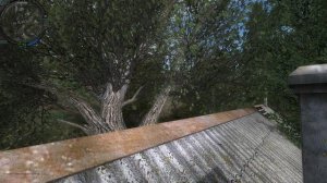 Сталкер A.R.E.A. 1.1694 . Где искать тайник  Фаната в Деревне новичков !