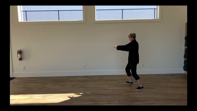 108 Yang Style Tai Chi Chuan смотреть онлайн