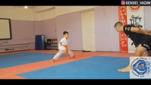 Индивидуальные тренировки по Каратэ Киокушинкай для новичков и детей. Общая и специальная разминка.