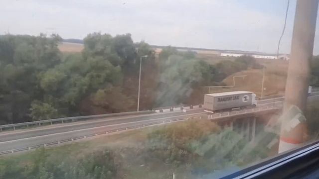 собака на поезде(снова?) йорк в поезде смотреть онлайн