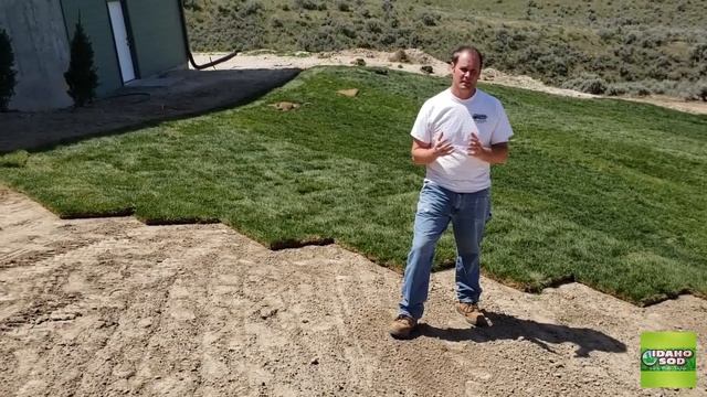 Sod Installation Guide Tips