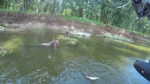 РАДИ ТАКОЙ РЫБЫ Я И ВСТАЛ В КОРЯГИ!! Крупный судак и щука!Рыбалка на Оби, поиск трофеев на джиг!