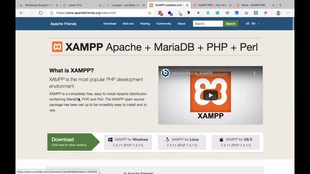 Best Localhost Software for WordPress смотреть онлайн