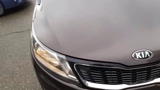 20240127_113341.mp4 смотреть онлайн