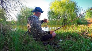 Рыбалка на веточку, как в детстве)) Бешеный клёв воблы, как и всегда.