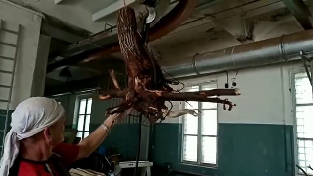 Люстра из корня. смотреть онлайн