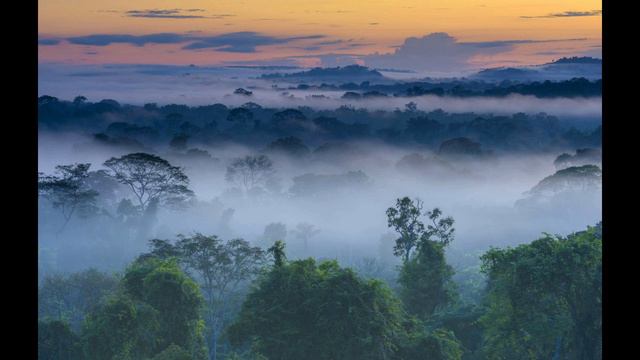 Запись 68 Франческо. Исцеление травм детства, обиды, стыда, путь роста, любовь к внутреннему ребенк смотреть онлайн