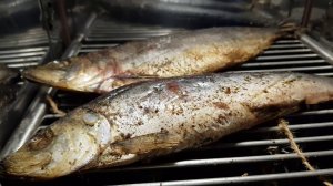 ХОЛОДНОЕ КОПЧЕНИЕ СЕЛЕДКИ