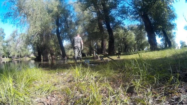 Бешенный клев карася в затоне от реки Ахтуба.