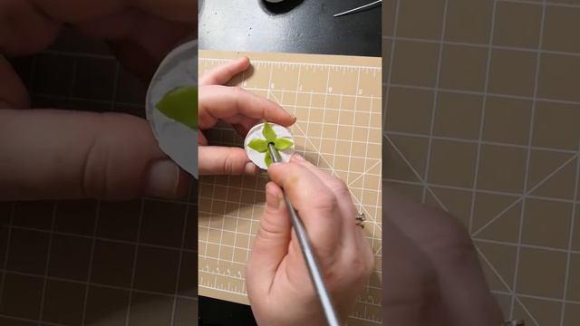 Наперстянка-чашелистик. МК