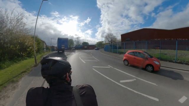 DOG TRAINING & CHAINY смотреть онлайн