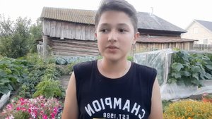 Чем нельзя кормить собаку? Что категорически запрещено давать собакам???