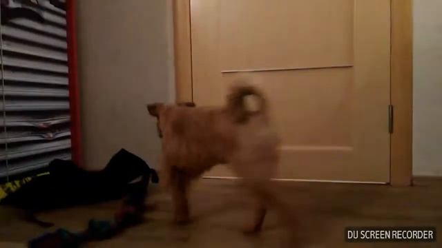 Мой Мистик смотреть онлайн