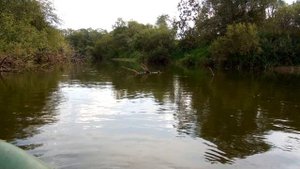Сплавная рыбалка по малым рекам, Кумёнка и Быстрица.