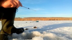 рыбалка на Шершневском водохронилище2021