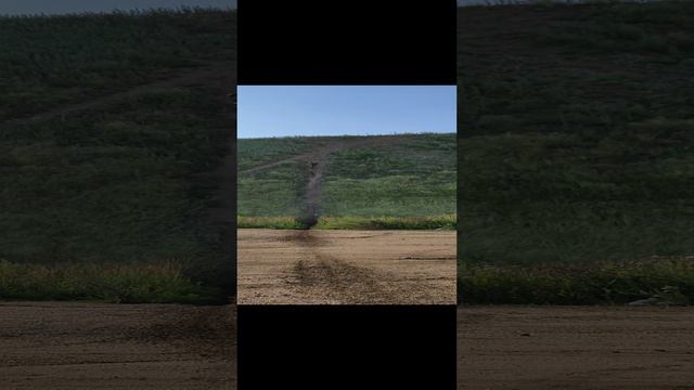 1000108579.mp4 смотреть онлайн