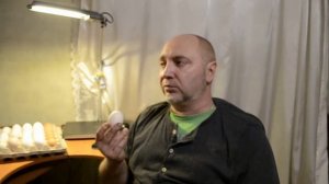 Какие куры несут самые вкусные яйца?Видео презентация вкусовых качеств различных кроссов и пород ку