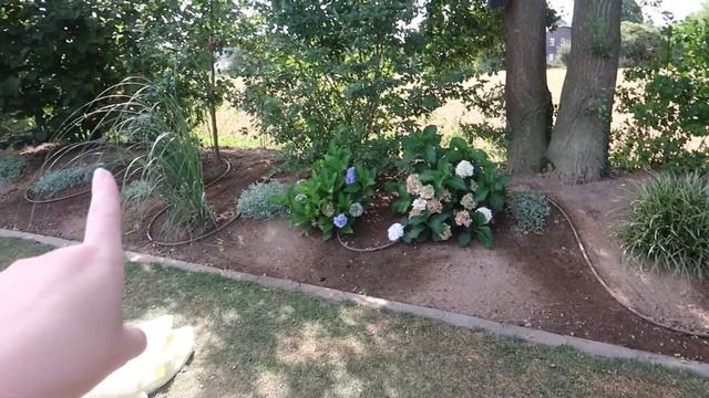 VLOG??: Готовка, дела по дому/вяжу сумку/ делаем уроки с Майком? смотреть онлайн