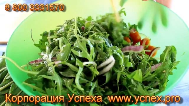 (ВИДЕО) Салат стройности от Корпорации Успеха с руколой смотреть онлайн
