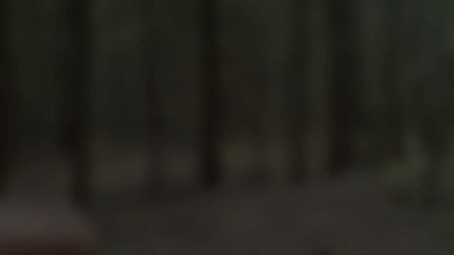 ЛУЧШАЯ ТИХАЯ ОХОТА НА ШАМПИНЬОНЫ !!! Грибы 2021 !