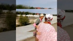 Две судьбы мои Кривая да Нелёгкая...