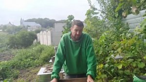 Инвертированный сироп для пчел. Подкормка пчел осенью сахарным сиропом (видео 2021)