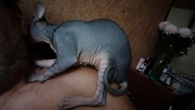 Котайский массаж... смотреть онлайн